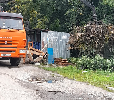 Кронирование веток, кустов и вывоз мусора Металлургов д.11/8