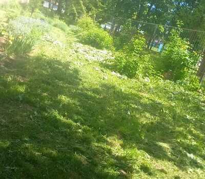 Покос травы в рамках программы Благоустройства
