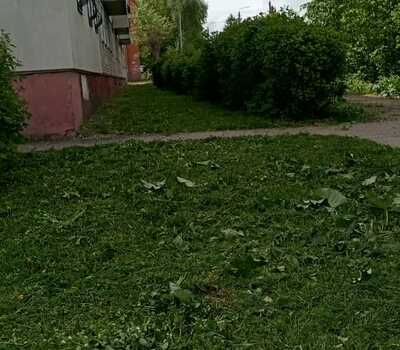 Покос травы в рамках программы Благоустройства